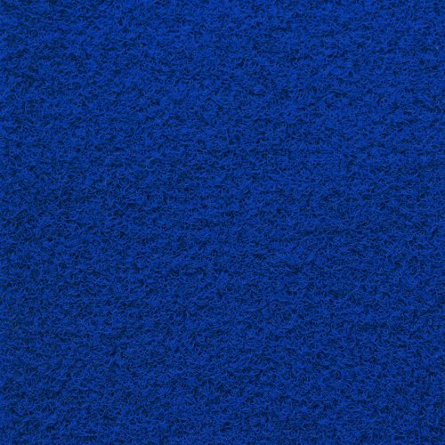 Bleuet 4895